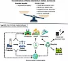 Diagramm, das die Abwägung von Vor- und Nachteilen von Flammschutzmitteln in Batteriegehäusen zeigt. Links wird die mögliche Verbesserung der Brandsicherheit hervorgehoben, während rechts die bekannten Kosten wie ökologische Schäden, giftigere Brände und Beeinträchtigungen der Kreislaufwirtschaft aufgeführt sind. Im unteren Teil zeigt ein Flussdiagramm verschiedene Lebenszyklen von Batterien, einschließlich chemischer Produktion, Nutzung, Recycling, sicherer Wiederverwendung und potenzieller Umweltkontamination. Solide Pfeile markieren häufig berücksichtigte Pfade, während gestrichelte Pfeile oft übersehene Risiken wie die Freisetzung von Schadstoffen in Luft und Wasser darstellen.
