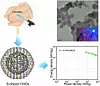 Schematische Darstellung der Herstellung von Schwefel-dotierten Kohlenstoff-Nanostrukturen (S-doped CNOs) aus Hühnerabfällen. Das Bild zeigt einen Hühnerkörper mit Tropfen, die in eine kugelförmige Kohlenstoff-Nanostruktur fließen. Zusätzlich sind ein elektronenmikroskopisches Bild der Nanostruktur und ein Diagramm der Energiedichte gegenüber der Leistungsdichte zu sehen.