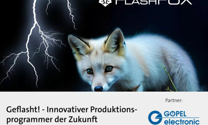 Innovative Programmierlösungen für serielle Flashes