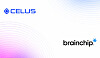 Querformatige Partnergrafik von Celus und BrainChip auf weißem Hintergrund: Oben links ist das blaue Celus-Logo mit rautenförmigem Bildzeichen und dem Schriftzug „CELUS“ platziert. Unten rechts befindet sich das schwarze BrainChip-Logo mit blauem, sternförmigem Symbol und kleinem Registrierungszeichen. Feine, halbkreisförmige Linien verlaufen vom oberen rechten Bildrand in hellen Blautönen zur Bildmitte. Weitere konzentrische Linien steigen vom unteren linken Rand auf und wechseln von Hellblau über Violett bis Rosa. Die weitgehend freie weiße Fläche zwischen den beiden Logos betont die Kooperation der Unternehmen. Die Grafik steht für die geplante Integration des neuromorphen BrainChip-KI-Co-Prozessors AKD1500 und des zugehörigen M.2-Moduls in die cloudbasierte Celus Design Platform. Ab August 2026 soll die Plattform Hardwareentwicklungen mit Edge AI unterstützen, indem technische Informationen zu Auswahl, Systemarchitektur, Schnittstellen, Verschaltung und Konfiguration des AKD1500 in den elektronischen Entwicklungsablauf eingebunden werden.