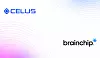 Querformatige Partnergrafik von Celus und BrainChip auf weißem Hintergrund: Oben links ist das blaue Celus-Logo mit rautenförmigem Bildzeichen und dem Schriftzug „CELUS“ platziert. Unten rechts befindet sich das schwarze BrainChip-Logo mit blauem, sternförmigem Symbol und kleinem Registrierungszeichen. Feine, halbkreisförmige Linien verlaufen vom oberen rechten Bildrand in hellen Blautönen zur Bildmitte. Weitere konzentrische Linien steigen vom unteren linken Rand auf und wechseln von Hellblau über Violett bis Rosa. Die weitgehend freie weiße Fläche zwischen den beiden Logos betont die Kooperation der Unternehmen. Die Grafik steht für die geplante Integration des neuromorphen BrainChip-KI-Co-Prozessors AKD1500 und des zugehörigen M.2-Moduls in die cloudbasierte Celus Design Platform. Ab August 2026 soll die Plattform Hardwareentwicklungen mit Edge AI unterstützen, indem technische Informationen zu Auswahl, Systemarchitektur, Schnittstellen, Verschaltung und Konfiguration des AKD1500 in den elektronischen Entwicklungsablauf eingebunden werden.