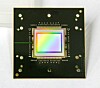 Schwarze Leiterplatte mit zentralem Mikrochip und farbigem Testmuster auf hellem Hintergrund.