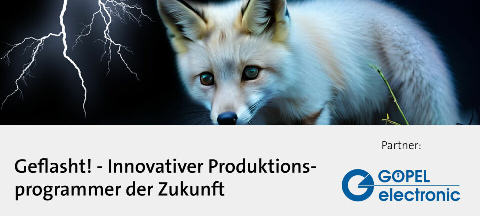Geflasht! - Innovativer Produktionsprogrammer der Zukunft