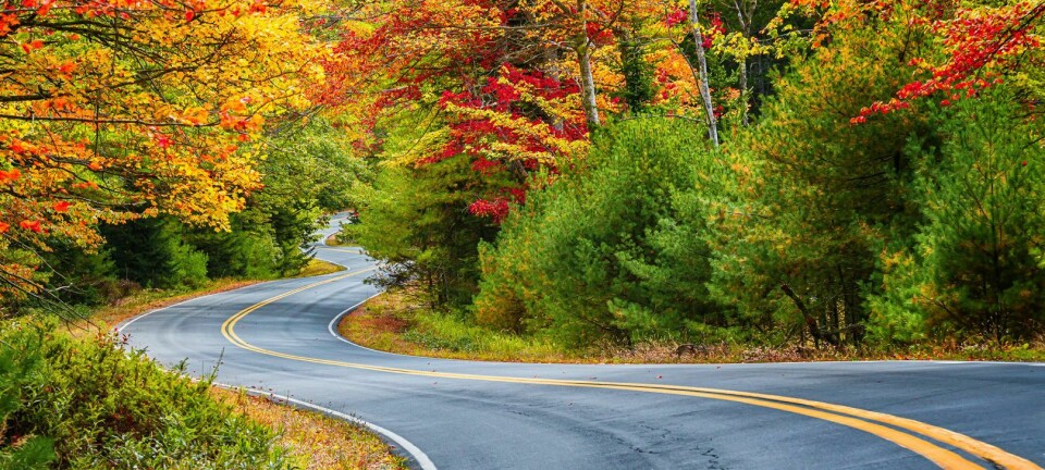 ADAS: Interaktion zwischen Fahrer und Spurhalteassistent simulieren