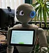 Arbeitet erfolgreich als Tutorin: Pepper