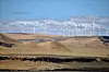 Platz 5: Shepherds Flat Wind Farm, Oregon (USA) – 845 MW 338 GE-2.5 XL-Turbinen über 30 mi² liefern hier seit 2012 bis zu 845 MW, verkauft per Langzeitvertrag an Southern California Edison. Die 2 Mrd. US-$-Investition (u. a. Google, Sumitomo) war eines der ersten Projekte mit staatlicher DOE-Darlehensgarantie und bringt Oregon jährlich etwa 1,7 TWh sowie 16 Mio. $ regionale Wertschöpfung.