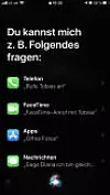 Abbildung 1 - iPhone Siri 2