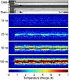 Bild 5: Die vier transienten Thermoreflectance-Thermal-Imaging-Bilder der Kanalregion zeigen das Verhalten nach 15, 25, 50 und 100 ns nach der ansteigenden Flanke des Stimulus.