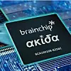 Aufgrund der hohen Nachfrage aus den Bereichen Automotive, Edge-Vision und Fabrikautomatisierung hat Brainchip ein Early-Access-Programm für das neuronale SoC Akida gestartet.